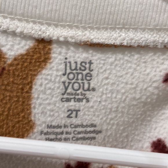 Carter’s 2 pair 2T fleece footie pajamas moose and dinosaurs excellent condition - Picture 4 of 6